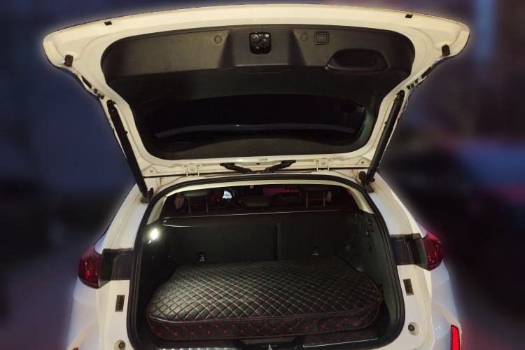 Used Wey P8 2018 2.0T Flagship Model