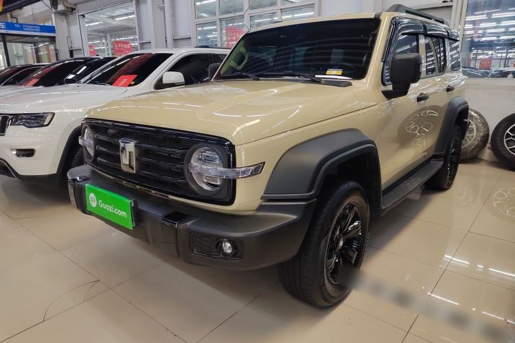 Used Tank 300 2025 2.0T Conqueror