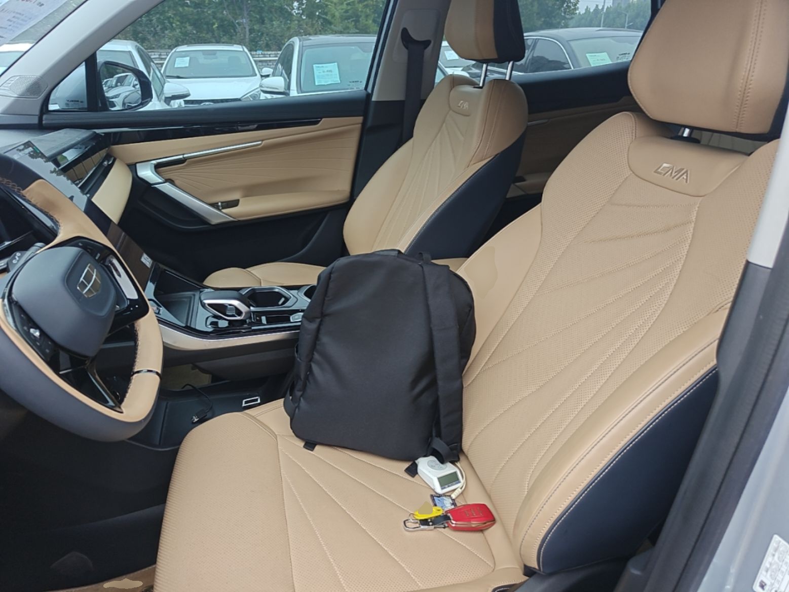 Geely Auto FX11 2023 1.5TD DCT Prestige Edition — снимка 17