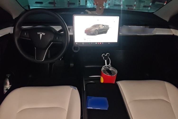 Used Tesla Model Y 2021 Long-Range All-Wheel-Drive Version 3D7
