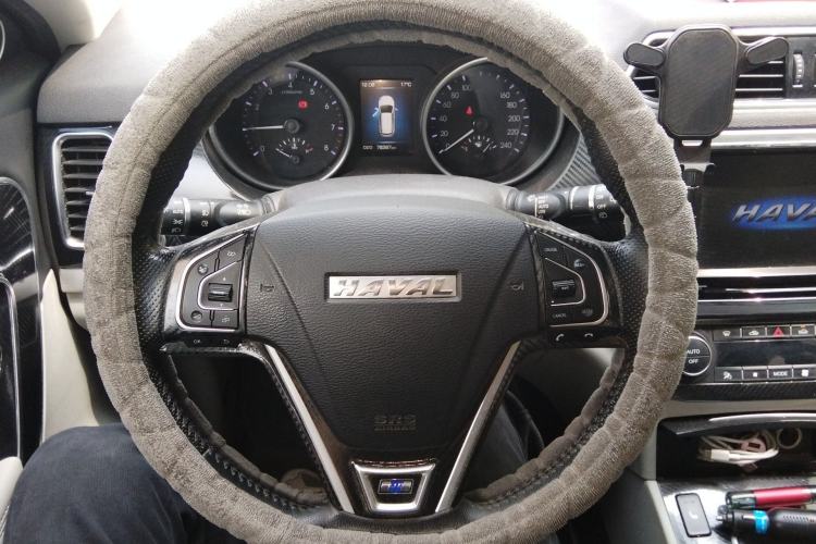 Used Haval H6 Coupe 2015 Blue-Label 2.0T Manual Two-Wheel Drive Prestige Model