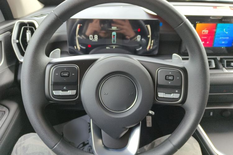 Used Great Wall King Kong Poer 2024 2.0T Automatic 8AT Diesel Two-Wheel-Drive Elite Flatbed
