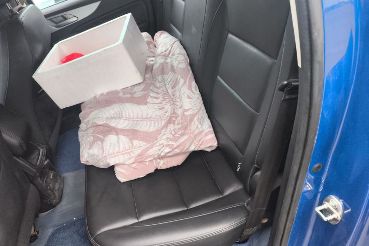 Used Great Wall Poer 2019 2.0T Commercial Version Manual Diesel Two-Wheel Drive Elite Long-Box GW4D20M
