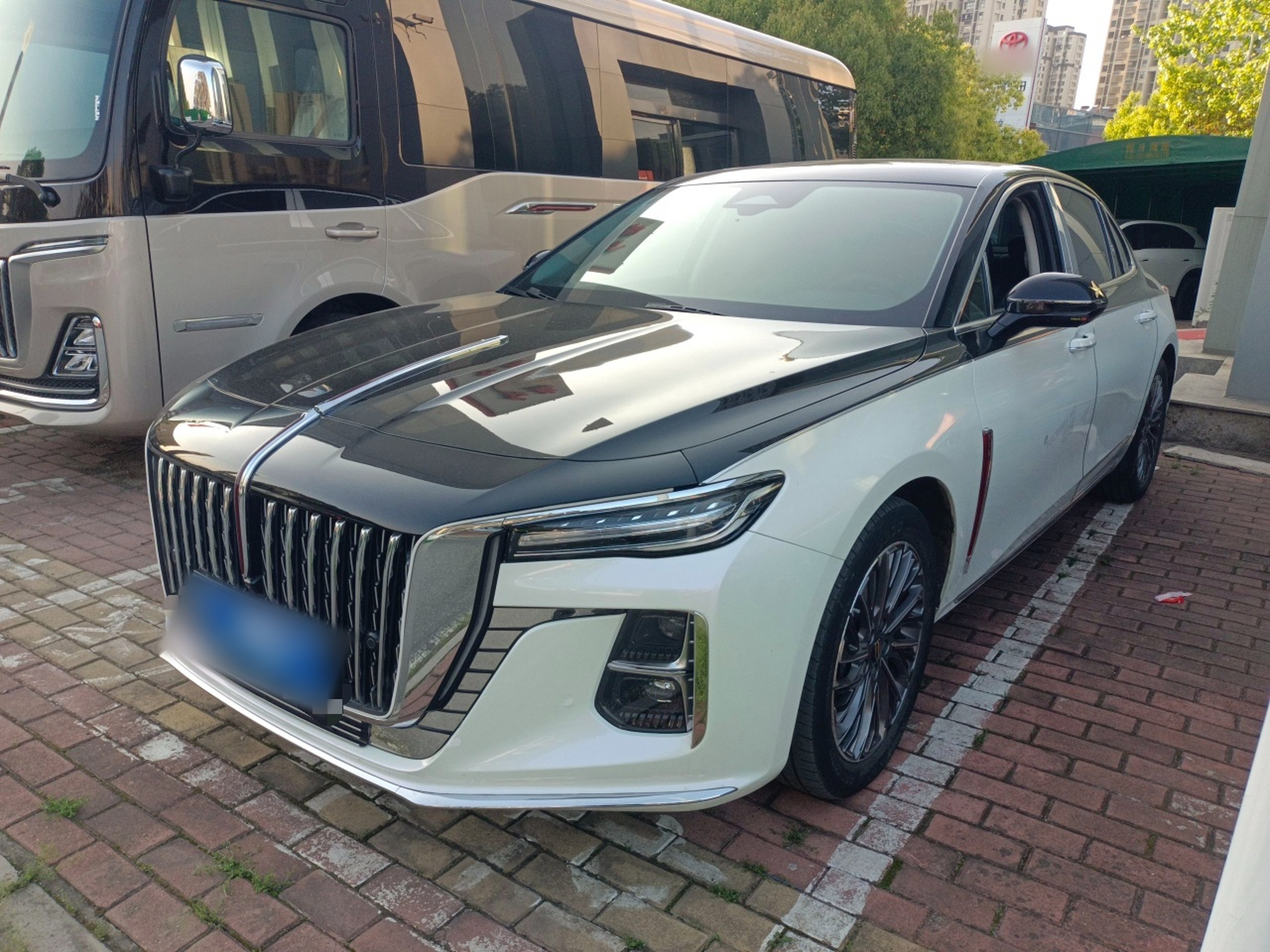 Parte inferior delantera