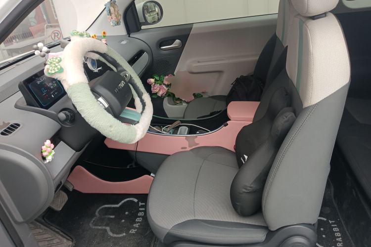 Used Qiyuan Lumin 2023 205km Xiangqin Version