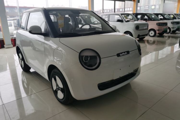 Used Qiyuan Lumin 2025 205 km Xiangqin Version
