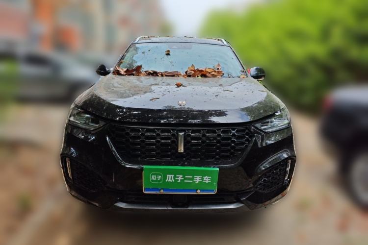 Used Wey VV6 2019 2.0T Two-Wheel-Drive Ultra-Luxury Version China VI Standard