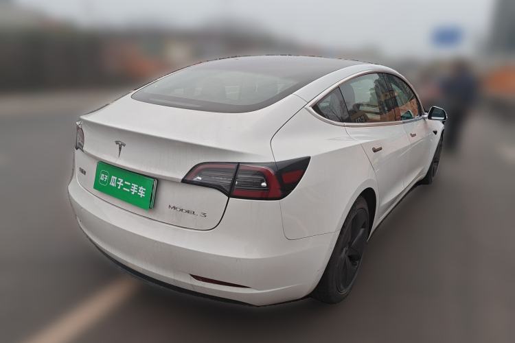 Used Tesla Model 3 2020 Standard Range Rear-Wheel Drive Upgraded Version Rear Right 45 Deg