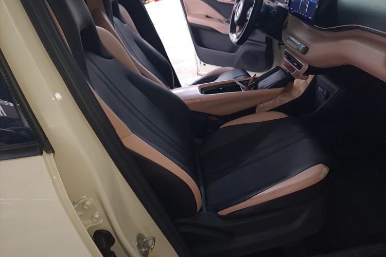 Used BYD Seagull 2025 405 km Flying Edition Right Front Seat