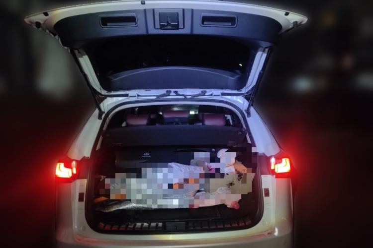 Used Lexus NX 2015 200 Front-Wheel Drive X-Trail SE Edition
