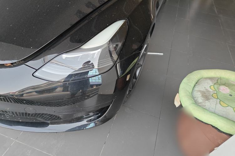 Used Tesla Model 3 2022 Rear-Wheel-Drive Version
