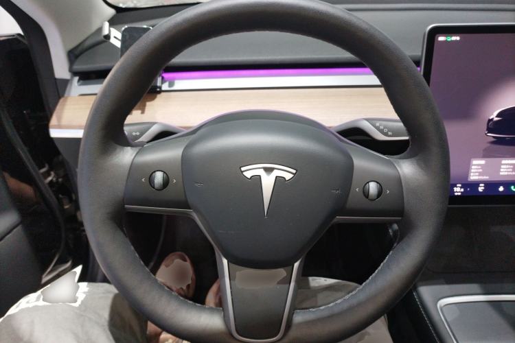 Used Tesla Model 3 2022 Rear-Wheel-Drive Version
