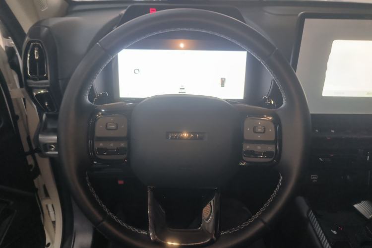 Used Haval H Dog 2023 2.0T Two-Wheel Drive Chaoye Version Plus