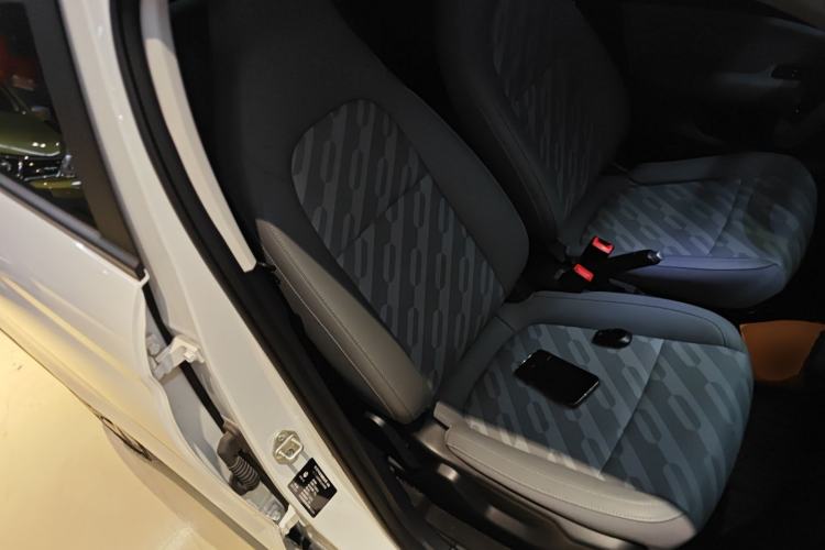 Used Leapmotor T03 2024 200 Lite Edition Right Front Seat