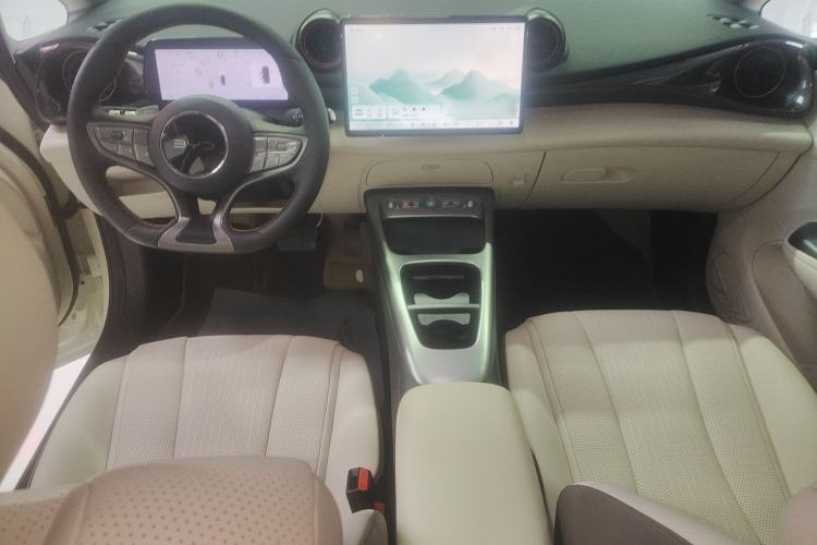 Used BYD Dolphin 2025 Smart Drive Version 420 km Freedom Edition Center Console