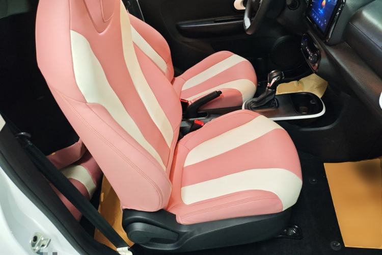 Used Roewe Clever 2022 311km QiQi BoBo Edition Right Front Seat