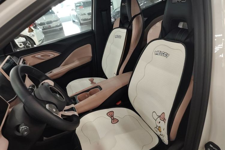 Used BYD Seagull 2024 Honor Edition 305km Dynamic Version Left Front Seat