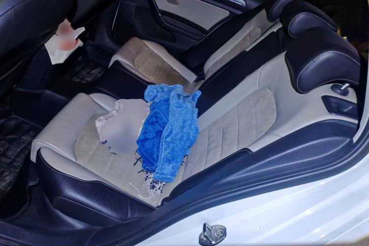 Used Volkswagen Golf 2017 230TSI Automatic Luxury Million-Vehicle Commemorative Edition Left Rear Seat