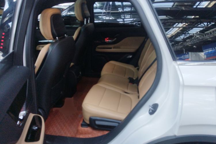 Used Lincoln Corsair 2021 2.0T Two-Wheel-Drive Luxury Edition Left Rear Seat