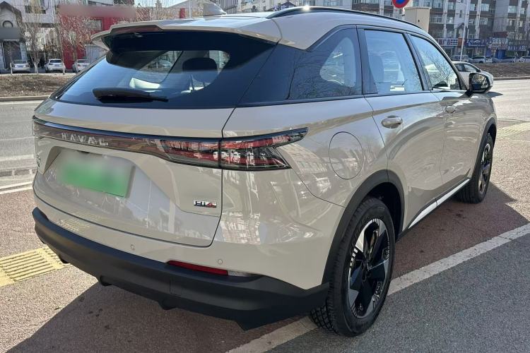 Used Haval Fierce Dragon Max 2025 Hi4 110 Pro