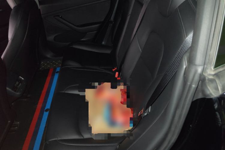 Used Tesla Model 3 2022 Rear-Wheel-Drive Version