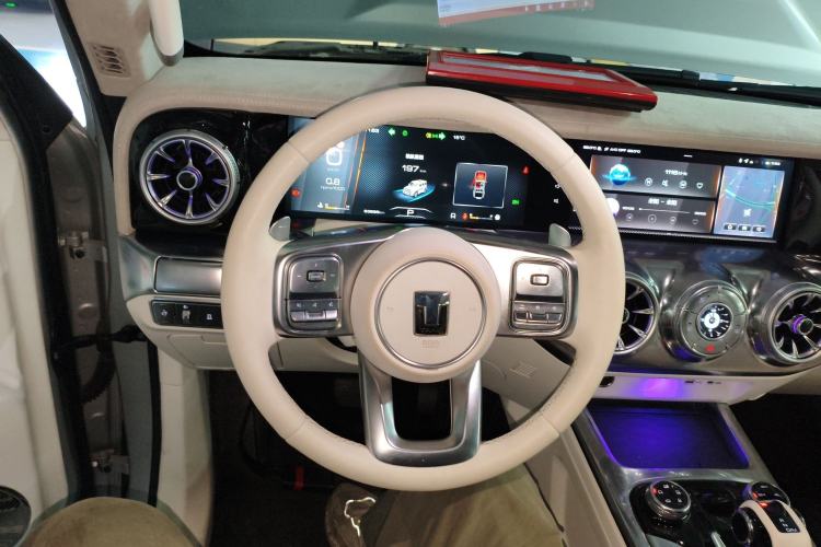 Used Cyberspace Tank 300 2021 2.0T Cyber Tank
