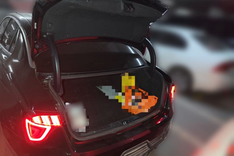 Used Lynk & Co 03 2021 1.5TD DCT Jing Champion Edition
