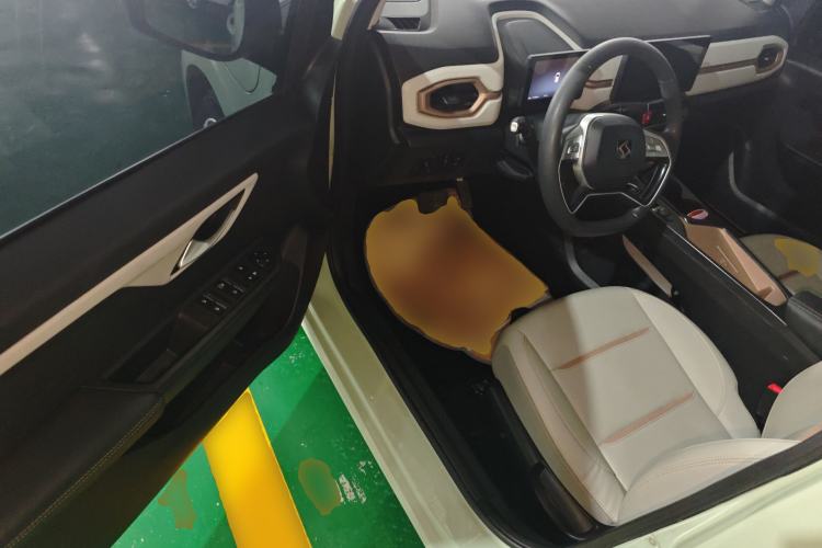 Used SOL E10X 2022 Flower Fairy Design Four-Leaf Clover Driver Seat