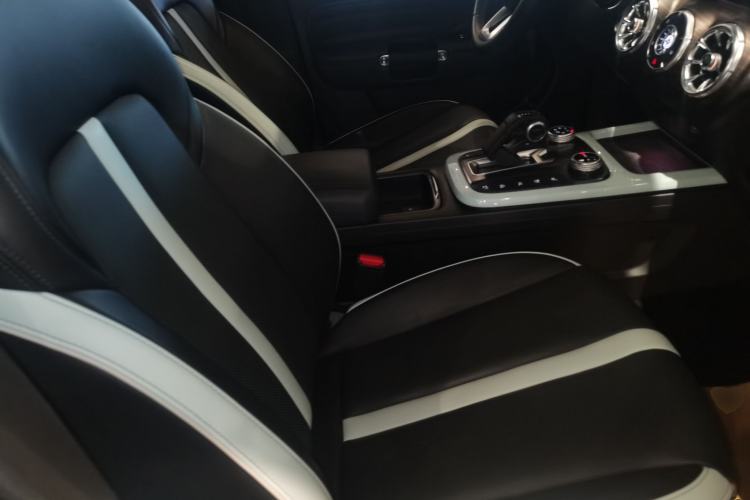 Used Tank 300 2021 City Edition 2.0T—Truly Stylish