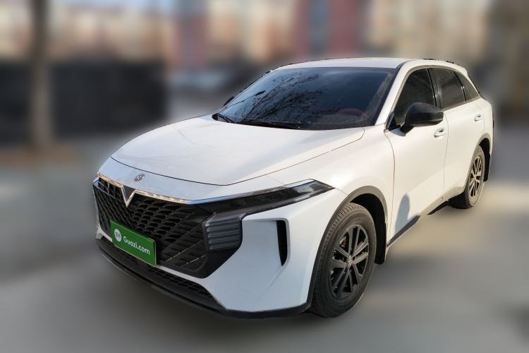 Used Venucia V 2024 260T New Star Edition Pro