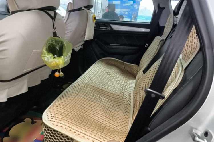 Used Roewe RX5 New Energy 2019 eRX5 50T 4G Connected Excellence Edition Left Rear Seat