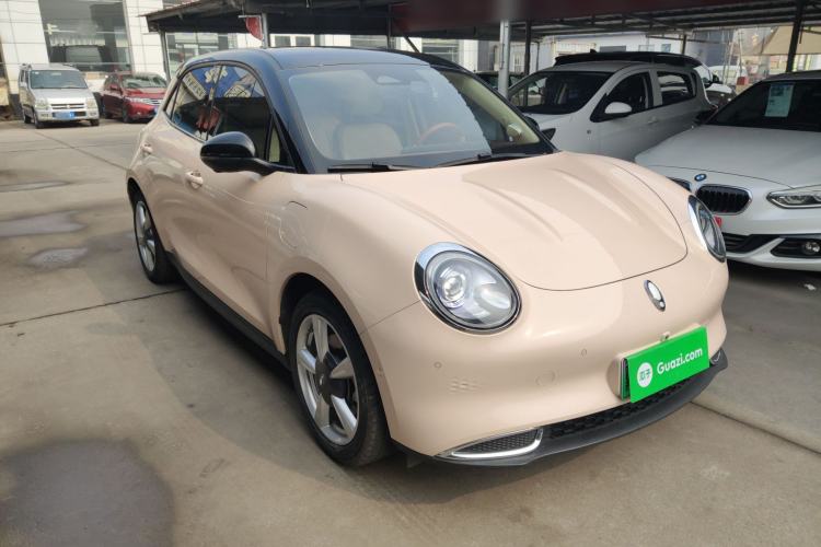 Used ORA Good Cat 2021 400km Standard Range Athena Edition Lithium-Ion Battery
