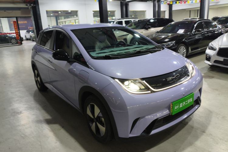 Used BYD Dolphin 2023 420 km Free Version Front Right 45 Deg