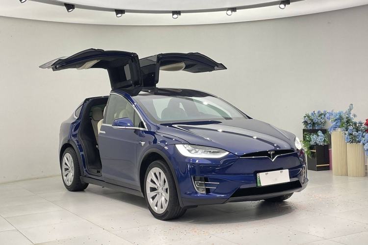 Used Tesla Model X 2019 Long-Range Version
