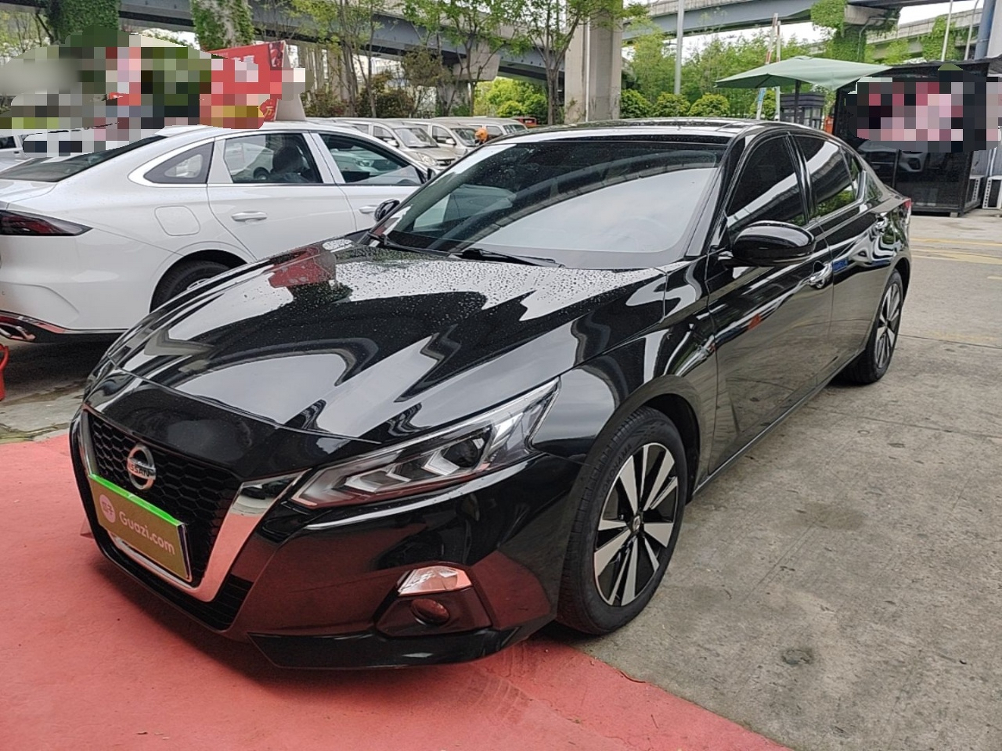 Parte inferior delantera