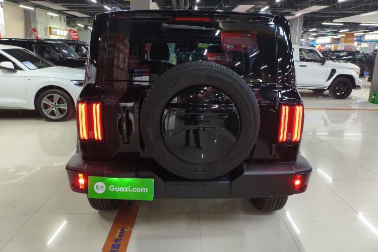 Used Tank 300 2021 City Edition 2.0T My Vision Model