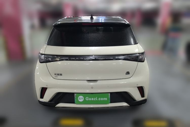 Used BYD Dolphin 2021 405 km Fashion Edition Rear