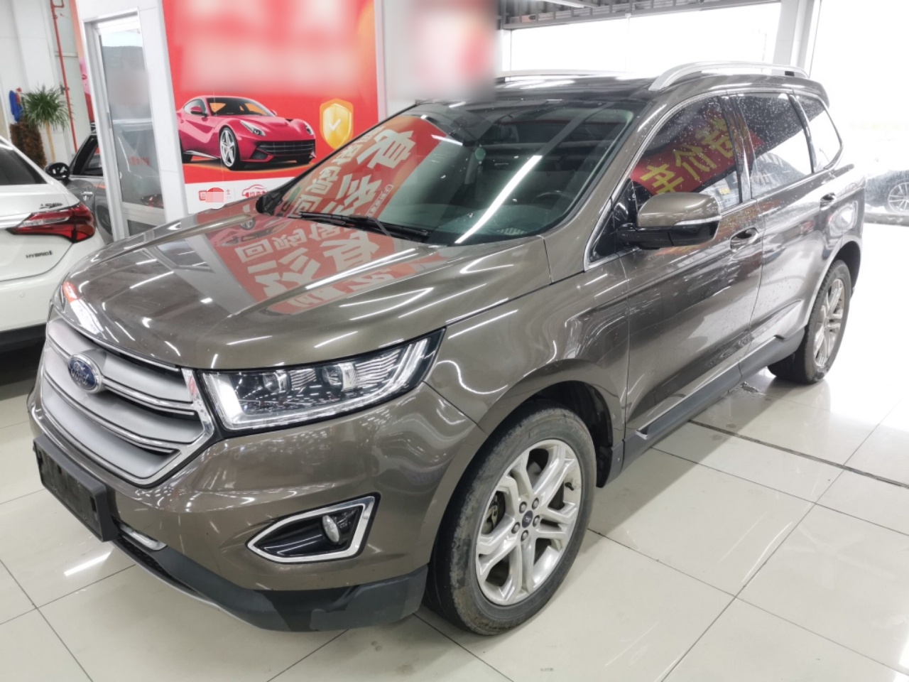 Parte inferior delantera