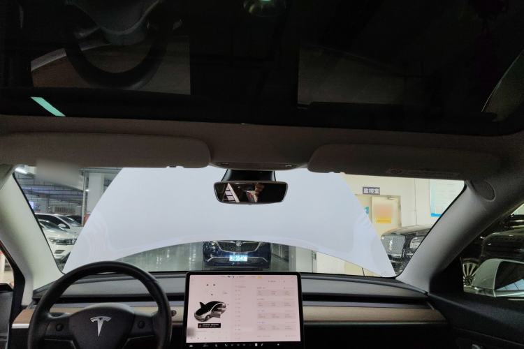 Used Tesla Model 3 2020 Standard Range Rear-Wheel Drive Upgraded Version