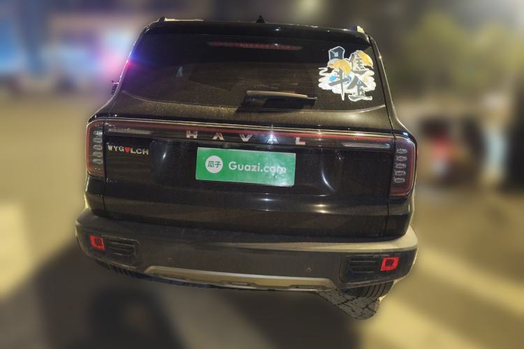 Used Haval DARGO 2024 2.0T DCT Chinese Rural Dog Edition
