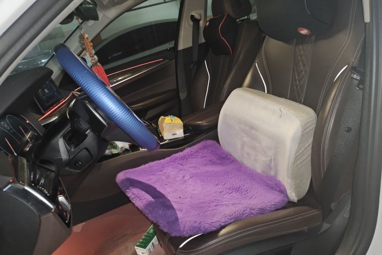 Used BMW 5 Series 2019 530Li Leading Model Luxury Package
