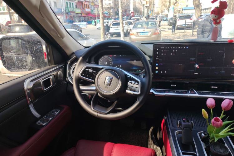 Used Tank 400 New Energy 2024 Hi4-T City Edition Steering Wheel