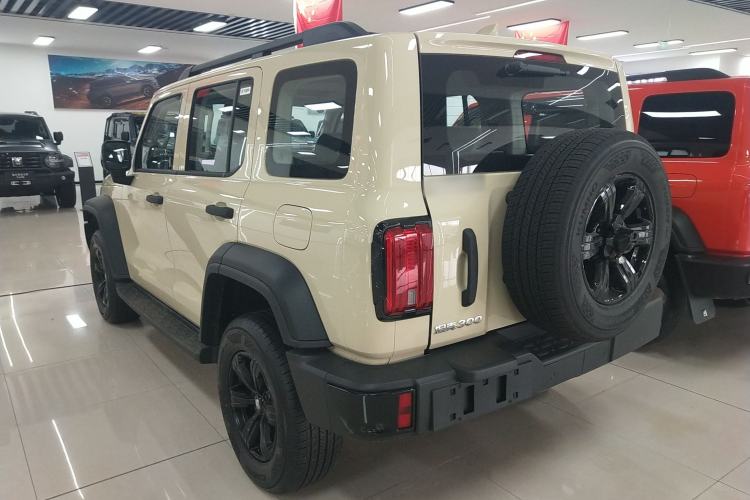 Used Tank 300 2025 2.0T Conqueror