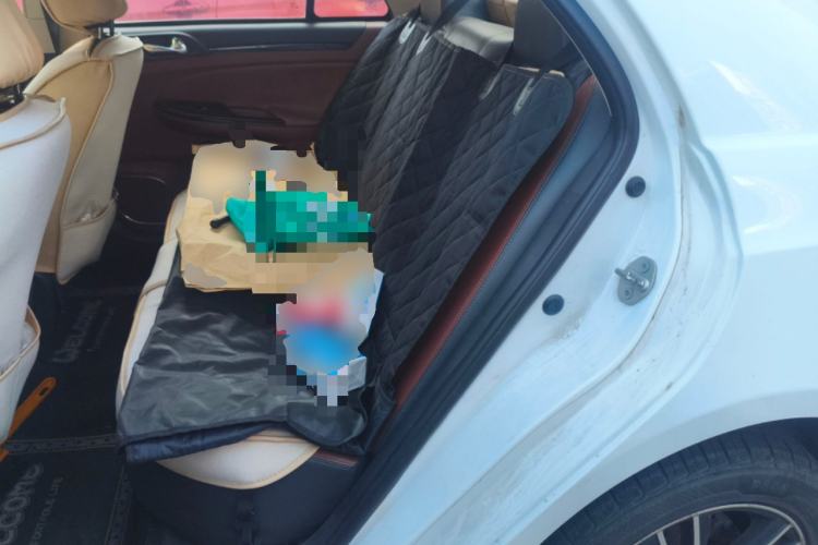 Used BYD Surui 2015 1.5L Automatic Luxury Model
