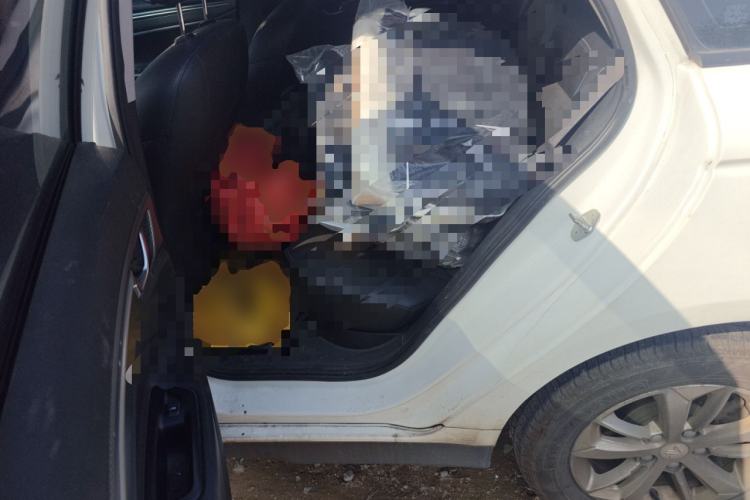 Used Livan Maple 60s 2022 Easy-to-Replace Version Lithium Iron Phosphate
