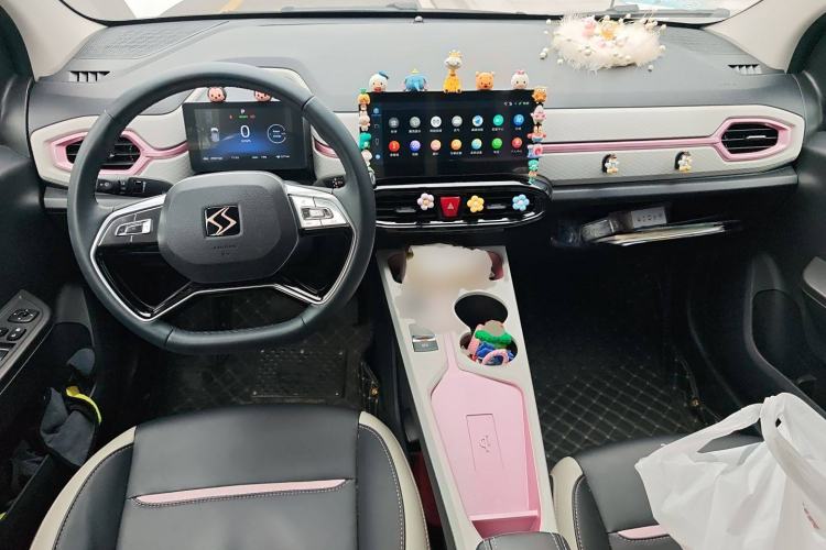 Used SOL E10X 2022 Flower Fairy Style Baby's Breath