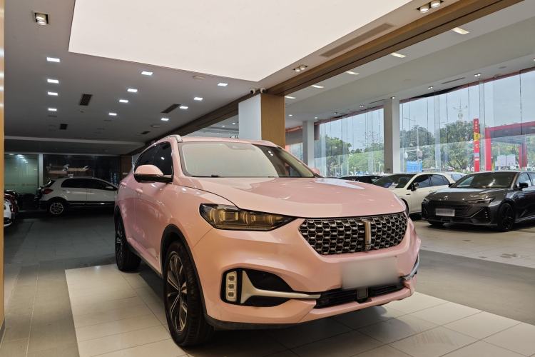 Used Wey VV6 2021 2.0T Two-Wheel Drive Smart Plus Exterior 5