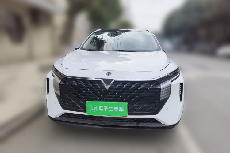 Used Venucia V 2021 260T Tianwang Edition
