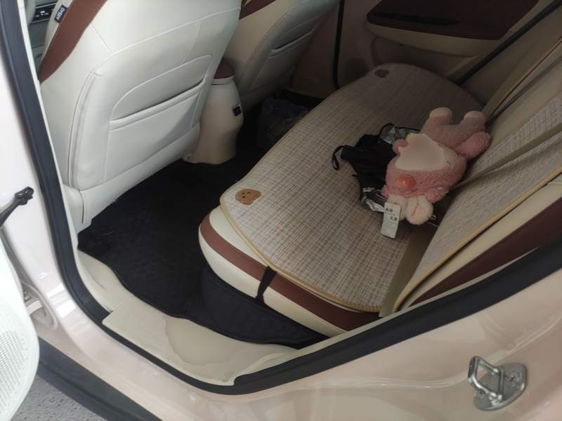 Used ORA Good Cat 2022 Morandi Edition 400km Standard Range Luxury Version Lithium-Ion Battery — 16