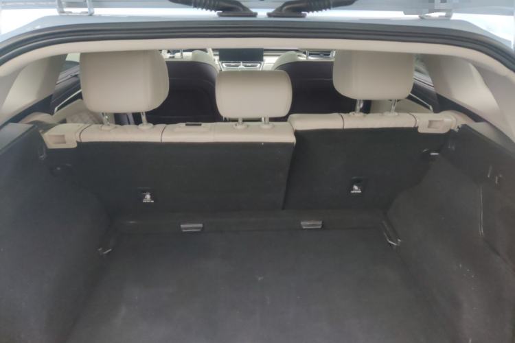 Used Wey Mocha 2021 2.0T Four-Wheel Drive Premium Edition